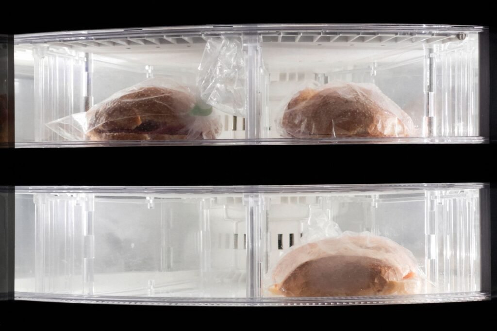 Vista clara de dos sándwiches congelados envueltos en plástico dentro de un refrigerador.